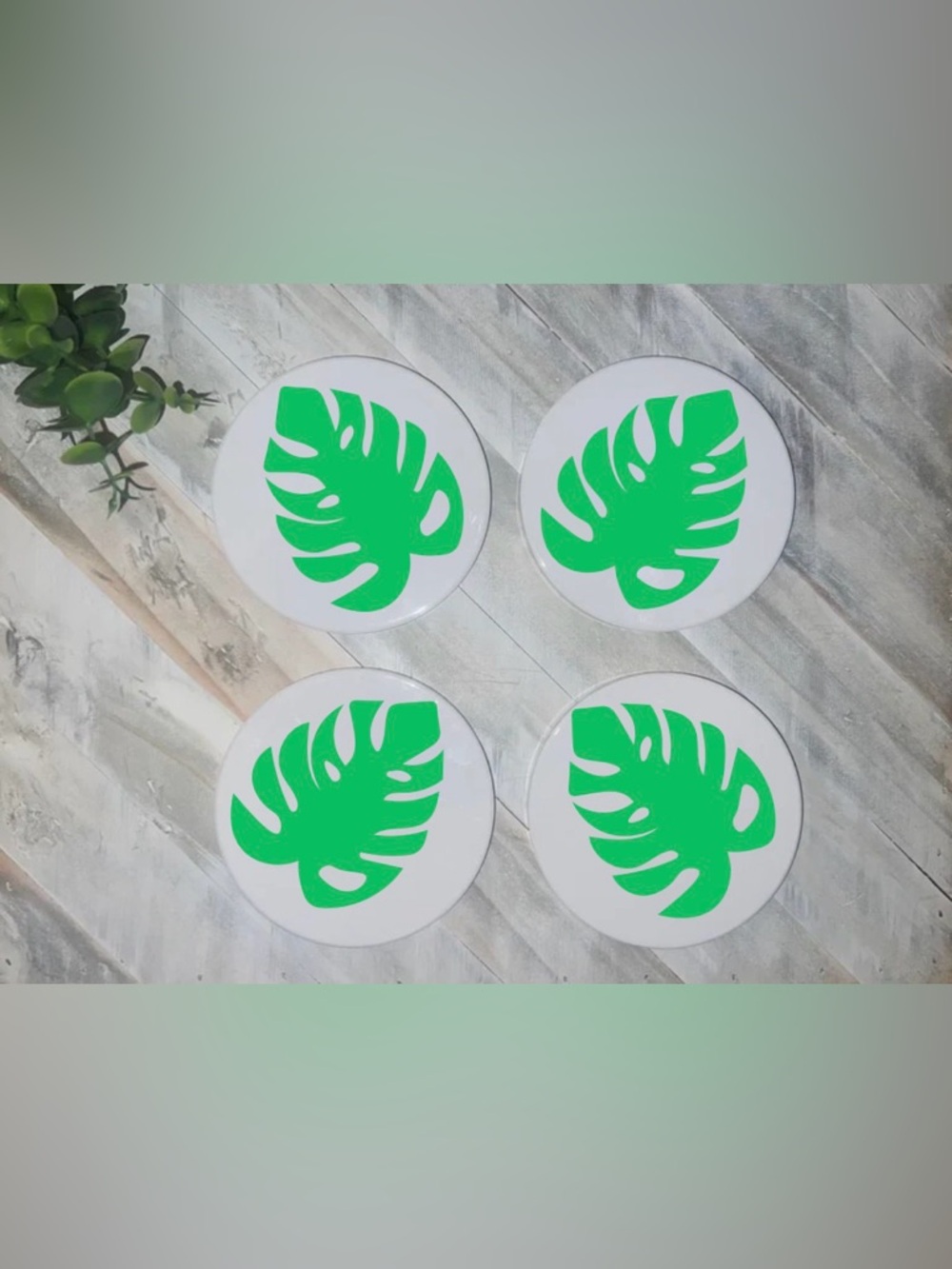 Set of 4 Green Monstera Leaf Coasters
